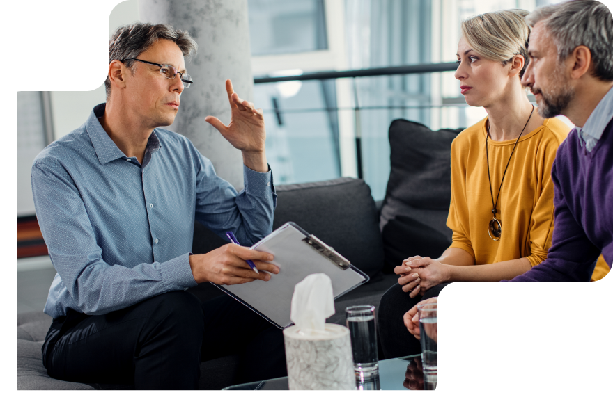 Protecting Complex Assets Through Careful Mediation
